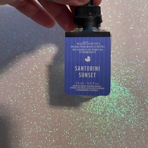 Bath & Body Works Wallflowers Fragrance Refill